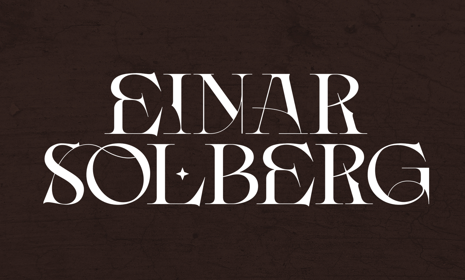 Einar Solberg logo