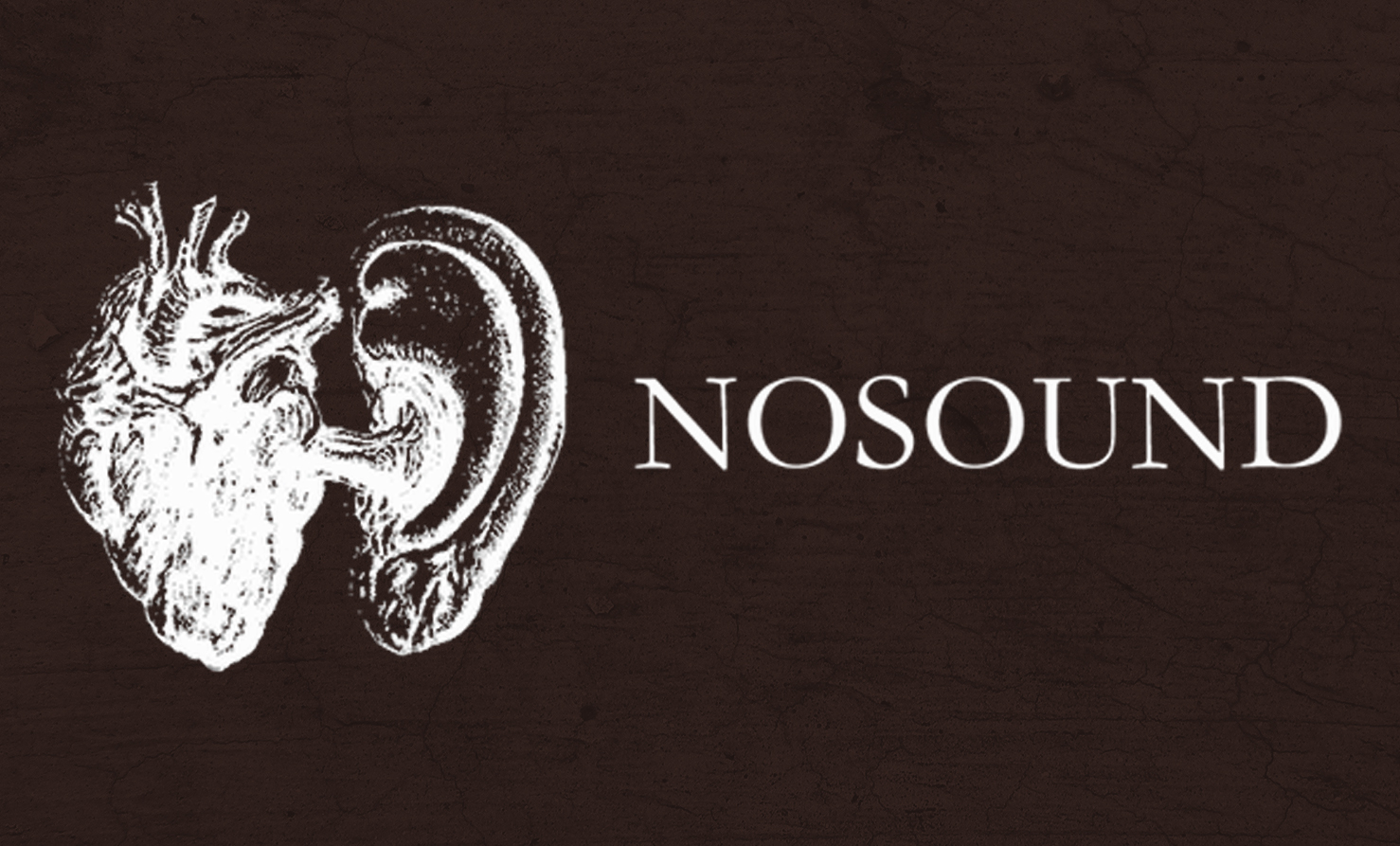 Nosound logo